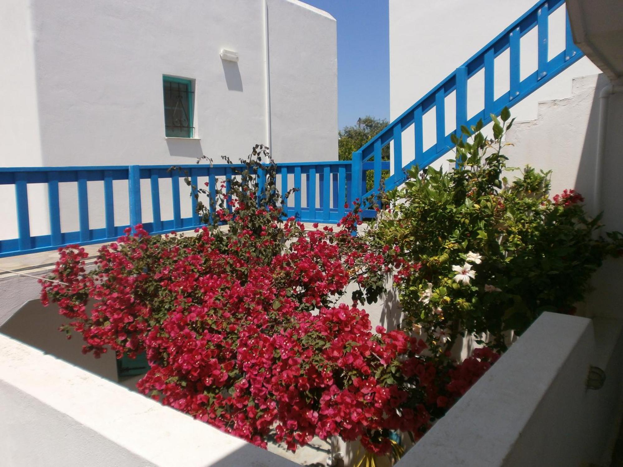 Aegean Village Parikia  Bilik gambar